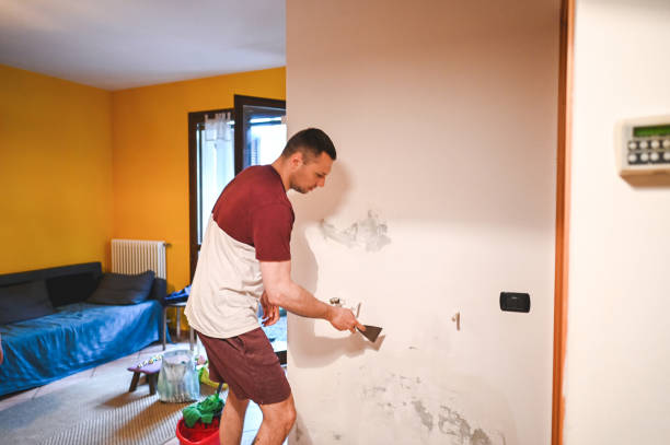 Best Post-Remediation Services in Venice Gardens, FL